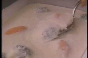 三菱電機　木村佳乃