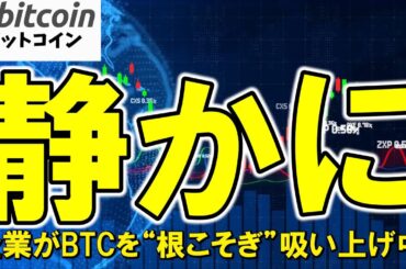 【仮想通貨 ビットコイン】もしかしてBTCは企業に乗っ取られる日が近いかも？個人が売ったBTCを企業が吸い上げ中…売ったら負け？（朝活配信1856日目）【暗号資産 Crypto】