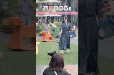 『#初恋DOGs』#清原果耶 さん､クランクイン🎬