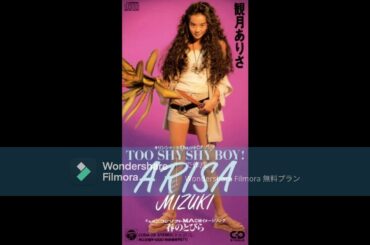 観月ありさ　Too Shy Shy Boy!