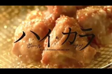 ウイスキーがお好きでしょ　cm 桑田佳祐 井川遥