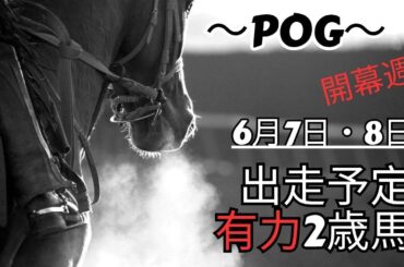 もしかしてＧＩ級】開幕週から激熱の馬が出走する予定。ＰＯＧファン必見です！！