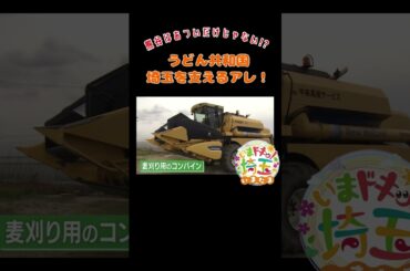 #グルメ#小麦#うどん#米#スイーツ#デザート#パン#地元#埼玉ワイルドナイツ#収穫#喉越し#大麦#ビール#歴史#権田愛三#農業#熊谷市#松井咲子#才木玲佳#カナイ#いまたま#埼玉県#shorts