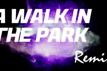 【リミックス】安室奈美恵 | A Walk In The Park