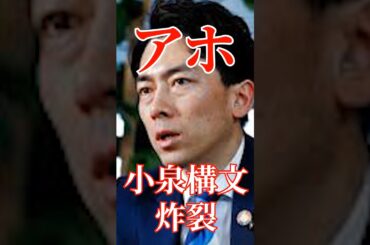 小泉構文炸裂！失礼記者に苦笑#国会 #切り抜き #自民党 #政治 #石破茂