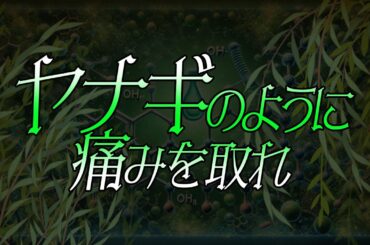 ヤナギのように痛みを取れ　あべりょう