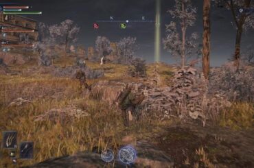 ELDEN RING NIGHTREIGN_20250607005819