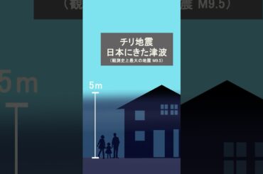 世界の津波の高さ比較 #地震 #地球 #宇宙