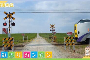 【金麦の丘】東丘通り踏切【踏切カンカン♪】