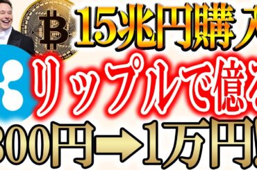 【トランプVSイーロン】リップルで億り人になるたに必要な枚数は？【XRP/Bitcoinhyper】