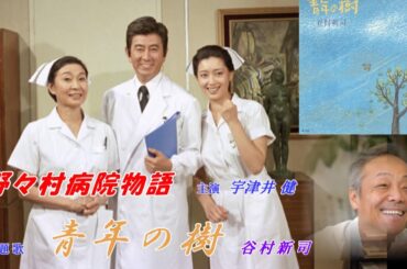 青年の樹　　谷村新司　　　野々村病院物語主題歌