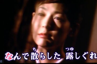 なでしこの雨　夏木綾子・♬伊藤きみ江