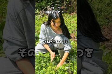 ローラが田植えデビュー　#shorts #ローラ #田植え #農業女子 #新潟 #佐藤えり