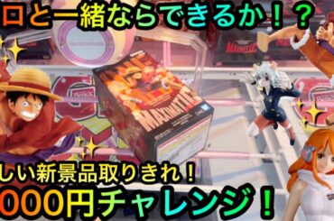 【クレーンゲーム】プロと新景品攻略5000円チャレンジ！ONE PIECE、HUNTER×HUNTERフィギュアをゲットしたい！【UFOキャッチャー】