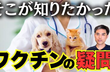 【必ず必要！？】そこが知りたかった、ワクチンの疑問を解決！前編　種類、必要な場面、子犬・子猫が複数回注射する理由【WSAVAガイドライン・獣医師・愛玩動物看護師・動物病院・ペット・犬・猫・狂犬病】