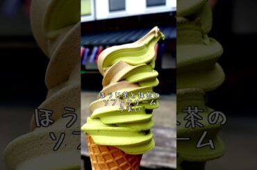 【静岡】高速バスDE弾丸ツアーのすゝめ２【旅行】#shorts