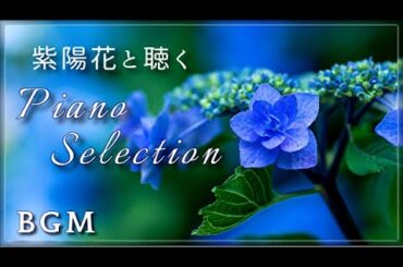 【BGM】「雨の日に紫陽花と聴く」癒やしのピアノセレクションCover  Piano Selection for Rainy Days