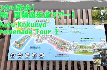 【ひかり散歩】調布　国領遊歩道ツアー1　Chofu Kokuryo Promenade Tour 1