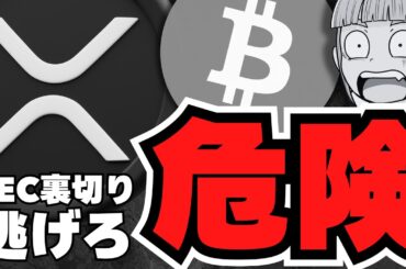 【仮想通貨】XRPだけ上がらない！SECの注目発言でリップルどうなる？／ビットコイン23万ドル説！DeFiバブル目前か！イーサリアムが強い！