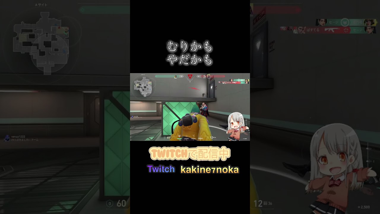 【#VALORANT】むりかも、やだかも【#ボイチェンバ美肉vtuber