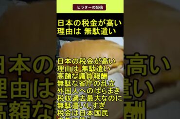 日本の税金が高い理由は 無駄遣い 2025.6.10 ヒラターの配信 ショート #shorts
