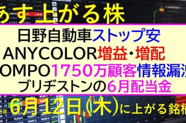 あす上がる株　2025年６月１２日（木）に上がる銘柄。日野自動車ストップ安。ＡＮＹＣＯＬＯＲ増益増配。SOMPO1750万件情報漏洩。ブリヂストン配当～最新の日本株情報。高配当株の株価やデイトレ情報～