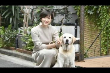 小泉進次郎さん・滝川クリステルさんが保護した愛犬〜アリスちゃん...（悲しくてやりきれない/多部未華子）