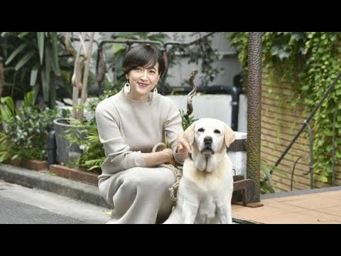 小泉進次郎さん・滝川クリステルさんが保護した愛犬〜アリスちゃん…(悲しくてやりきれない/多部未華子) 小泉進次郎さん・滝川クリステルさんが保護した愛犬〜アリスちゃん...(悲しくてやりきれない/多部未華子)