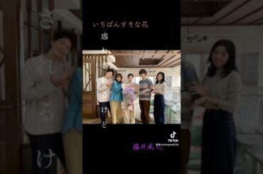 #いちばんすきな花 #藤井風 #花 #多部未華子 #松下洸平 #今田美桜 #神尾楓珠 #フジテレビ系木曜劇場