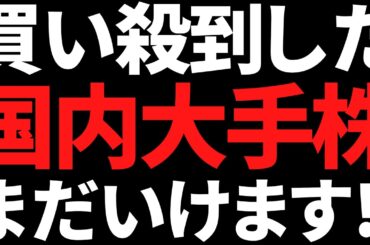 買い殺到したこの国内大手株まだまだ買えると思いポチりました