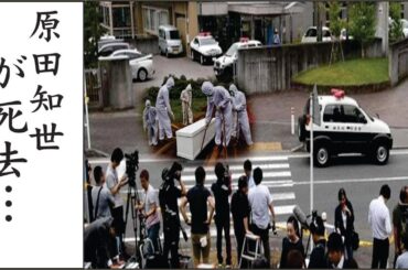 原田知世の精神病で苦しんだ晩年…原田知世がゴミ袋両手に徘徊する理由…