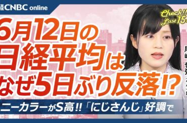 【6月12日(木)東京株式市場】日経平均株価は反落、米関税政策懸念で／日本株・円高進み自動車株に売り／米CPI⇩でも米国株堅調／ゲーム株や防衛株に見直し買い／エニーカラーS高「にじさんじ」好調で好決算