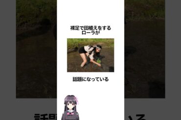 裸足で田植えをするローラが話題になっている#shorts