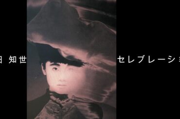 原田 知世『 セレブレーション 』