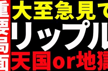 リップル（XRP）超重要局面！天国or地獄⁉︎今後の注目ポイント教えます！【仮想通貨】