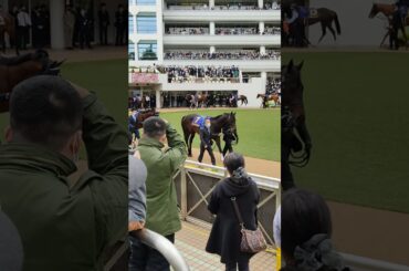 【競馬2022】ジオグリフ優勝 皐月賞 現地パドック2