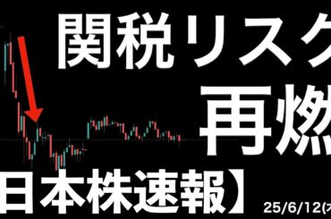【日本株速報】25/6/12 トランプ関税リスク再燃！結局トランプが勝手に関税率を設定？
