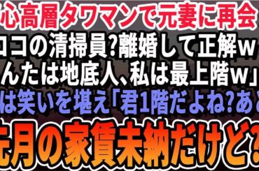 【感動☆総集編】高級タワマンで元嫁と再会すると俺に「ここの清掃員になったのw？離婚して正解w」最上階を指差し自慢され「貧乏人には一生無理ねw」、俺は元嫁に「お前低層階だろwあ、ちなみに今月の