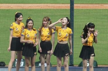 【Passion Sisters】#維尼 #桃子 #菊池桃子 #Momoko #怡琪 #盈瑩 #璇璇 #CPBL #中華職棒 #中華職棒啦啦隊 #中信兄弟 #中信兄弟啦啦隊