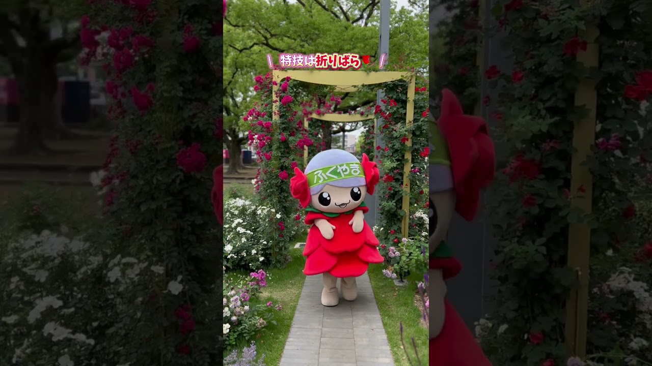 【自治体コラボ企画第12弾】福山市・ローラちゃんはじめまして！