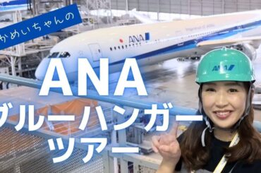 ANAブルーハンガーツアーの魅力徹底解説！予約困難な特別体験をSFC修行者も見逃せない！ #ana #sfc修行 #旅行 #ブルーハンガー