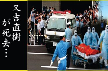 又吉直樹と吉田羊の結婚間近の真相がヤバい！『こんな僕を好きになってくれるなんて…』ピース又吉の巨額な年収やキャバクラ狂いの現在に一同驚愕…！