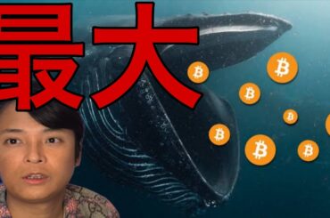 ビットコイン急落でも今年最大の蓄積！6月に最高値更新か？