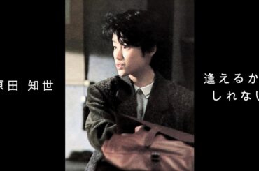 原田 知世『 逢えるかもしれない 』