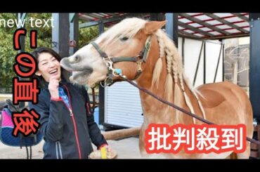 「敷地は東京ドーム1個分くらい」30歳で結婚後、夫の実家に移り住むことに…佐藤藍子が明かす、“田舎暮らし”を始めるまでの戸惑いと覚悟mh