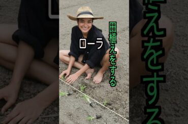 ローラ 様のエピソード・雑学 #shorts #トリビア #豆知識 #雑学 #ローラ  #田植え