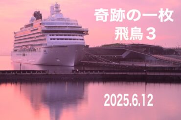 奇跡の一枚‼️飛鳥３　【2025.6.12】