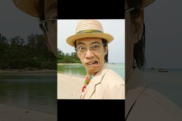 ごくせん 仲间由纪惠 饰 暴力団の跡取りが教師になり、反抗的な生徒たちを卒業へと導く#ドラマ #映画 #viralvideo #shorts