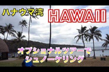 ハナウマ湾シュノーケリング【４泊6日ハワイ旅行】2日目オプショナルツアーとバス利用で楽しむハワイ