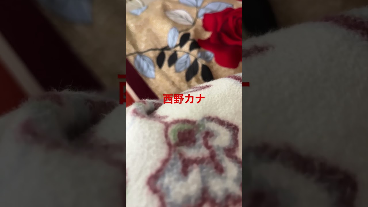 高評価数860西野カナ見えた人チャンネル登録お願いします🙏